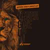 Never Give Up (feat. Shreffler) - Single album lyrics, reviews, download
