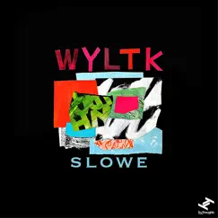 WYLTK (Radio Edit) Song Lyrics