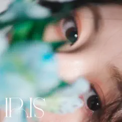 Iris - Single by Raphan album reviews, ratings, credits