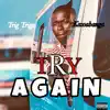 Try Again (feat. Kawabanga) - Single album lyrics, reviews, download