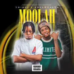 Moolah (feat. Adeswealth) - Single by Toiboi album reviews, ratings, credits