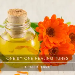 One by One Healing Tunes - Single by Healed Terra album reviews, ratings, credits