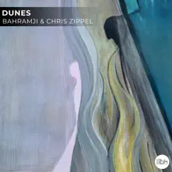 Dunes - Single by Bahramji & Chris Zippel album reviews, ratings, credits
