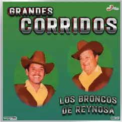 Grandes Corridos by Los Broncos de Reynosa album reviews, ratings, credits