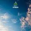 Nature Vibe Mix - Single album lyrics, reviews, download