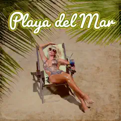 Playa del Mar: Relaxing House, Summer Cocktail Bar Music, Lounge Café and Chill Out by DJ Tzi-tzi, DJ Domain & Buda del Mar Club album reviews, ratings, credits
