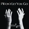 I Won't Let You Go - Single album lyrics, reviews, download