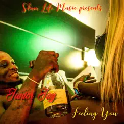 Feeling You - Single by Junior Jay album reviews, ratings, credits