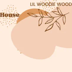House (feat. Derek, Yammi, Television, Sammie, fresno & Cool) - Single by Lil Woodie Wood album reviews, ratings, credits