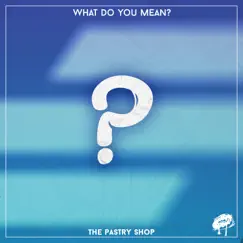 What Do You Mean? - Single by Cherry Zard album reviews, ratings, credits