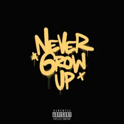 Never Grow Up - Single by Vibey album reviews, ratings, credits