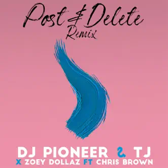 Post & Delete (feat. Chris Brown) [Remix] - Single by DJ Pioneer, TJ & Zoey Dollaz album download