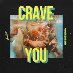 Crave You - Single by Paradigm & Dan Owen album reviews, ratings, credits