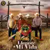 Llegaste A Mi Vida - Single album lyrics, reviews, download