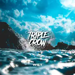 Wet - Single by Triple Crow album reviews, ratings, credits