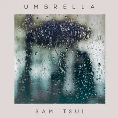 Umbrella (Piano Acoustic) - Single by Sam Tsui album reviews, ratings, credits