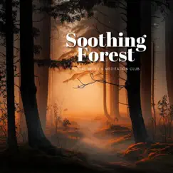 Soothing Forest - Kalimba Comfort, Peaceful Moments, Revive by Future Relax & Meditation Club album reviews, ratings, credits