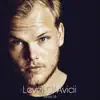 Levels of Avicii (In Honor of Avicii ) song lyrics