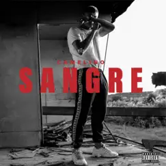 Sangre - Single by The Hood Boyz album reviews, ratings, credits