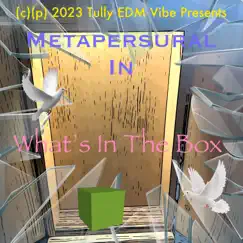 Whats In the Box (No Square, No Share) Song Lyrics