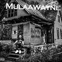 My Brudda - Single by Mulaawayne album reviews, ratings, credits