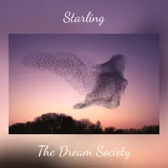 Starling (Instrumental) - Single by The Dream Society album reviews, ratings, credits