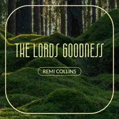 I have seen the Lords Goodness (Violin Version) - Single by Remi Collins album reviews, ratings, credits