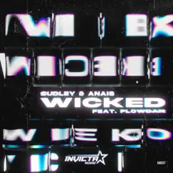 Wicked (feat. Flowdan) Song Lyrics