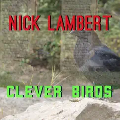 Clever Birds Song Lyrics