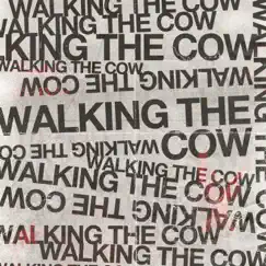Walking the Cow - Single by Sego, The Moth and The Flame & Pinguin Mofex album reviews, ratings, credits