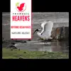 Soothing Sounds of the Raven song lyrics