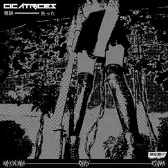 CICATRICES - Single by Bixnan, Bxnny & brokdemon album reviews, ratings, credits
