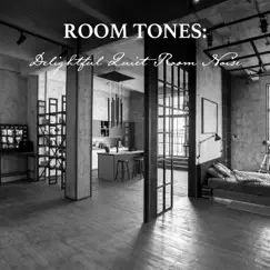 Room Tones: Delightful Quiet Room Noise by Nowak Sommer album reviews, ratings, credits