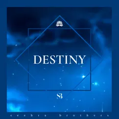 Destiny - Single by Seehra Brothers album reviews, ratings, credits