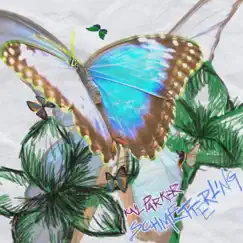 Schmetterling Song Lyrics