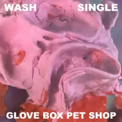 Glove Box Pet Shop - Single by Wash album reviews, ratings, credits