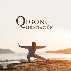 Qigong Meditación by Meditação Espiritualidade Musica Academia album reviews, ratings, credits