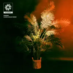 Evergreen - Single by Flourish & Jack Howard album reviews, ratings, credits