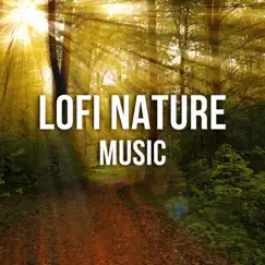 Tropical Rainforest LoFi Song Lyrics