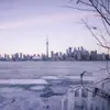 Toronto Cold - Single album lyrics, reviews, download
