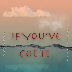 If You've Got It - Single (feat. Druv Kent) - Single by Sanaaya album reviews, ratings, credits