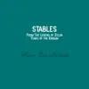 Stables (From "the Legend of Zelda: Tears of the Kingdom") [Music Box Lullaby] - Single album lyrics, reviews, download