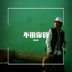不用你管 - Single by Zheng Bing Bing album reviews, ratings, credits