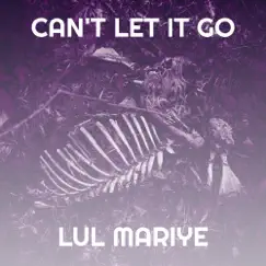 Can't Let It Go - Single by Lul Mariye album reviews, ratings, credits