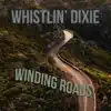 Winding Roads - Single album lyrics, reviews, download