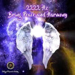 2222hz Bring Peace and Harmony by Emiliano Bruguera album reviews, ratings, credits