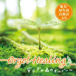 Orgel Healing Relaxin Forest Musics by TENDER SOUND JAPAN album reviews, ratings, credits