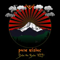 PNW Rising (feat. Shortbread) [Gabe the Babe VIP] [Gabe the Babe VIP] - Single by Gabe the Babe album reviews, ratings, credits