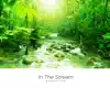 In The Stream - Single album lyrics, reviews, download