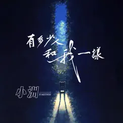 有多少人和我一样 (DJ版伴奏) Song Lyrics